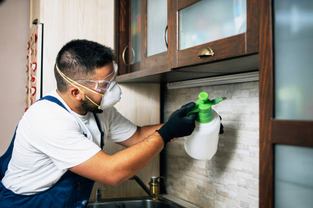 Best Termite Control Services  in Grantville, GA