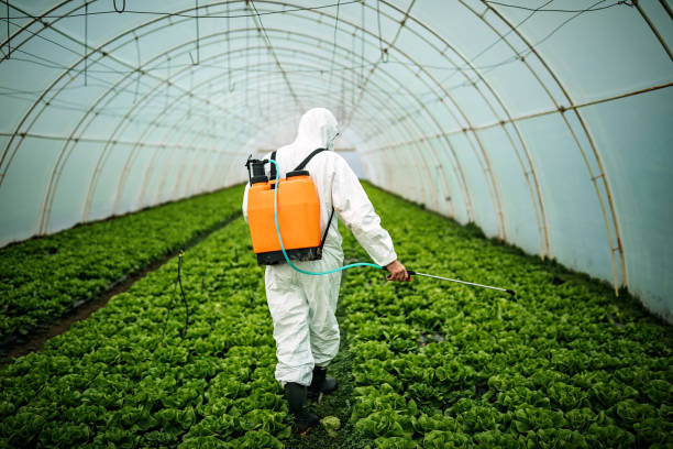 Best Pest Removal Services  in Grantville, GA