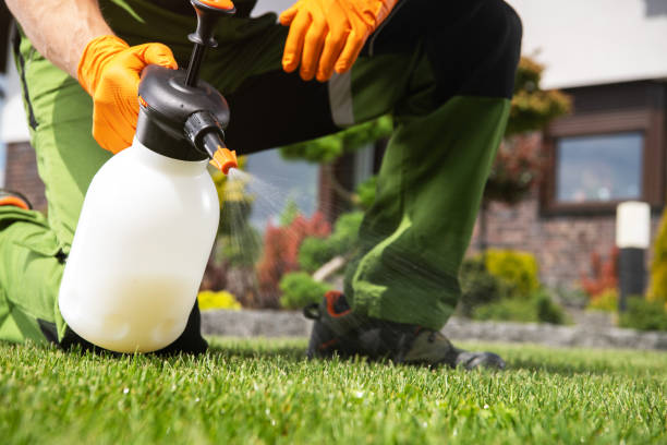 Best Wasp Removal Services  in Grantville, GA