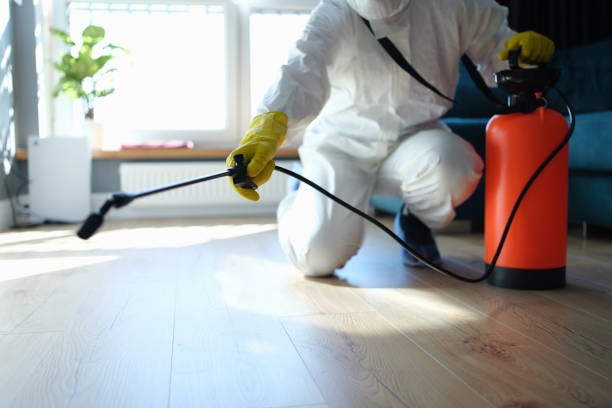 Best Wasp Removal Services  in Grantville, GA