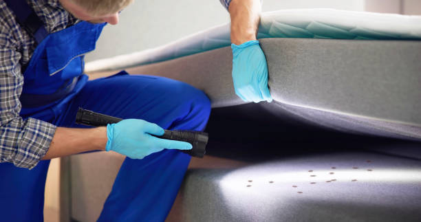 Best Ant Control Services  in Grantville, GA