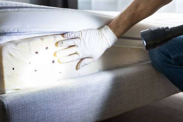 Best Cockroach Control Services  in Grantville, GA
