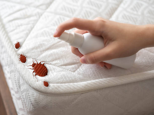 Wasp Removal Services in Grantville, GA