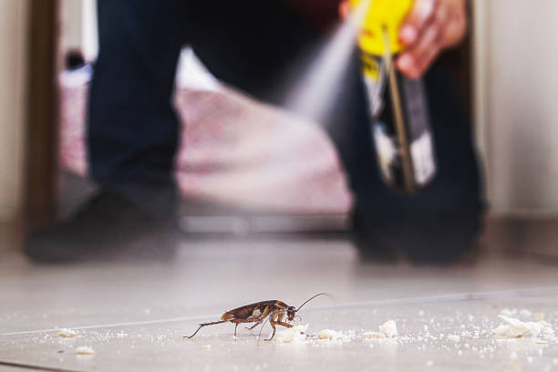 Best Affordable Pest Control Services  in Grantville, GA