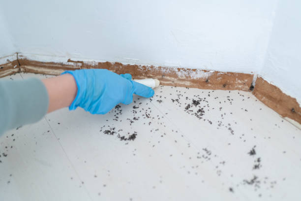 Best Commercial Pest Control Services  in Grantville, GA