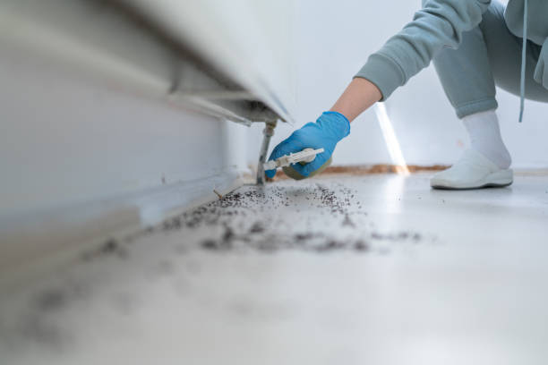 Reliable Grantville, GA Pest Control Solutions