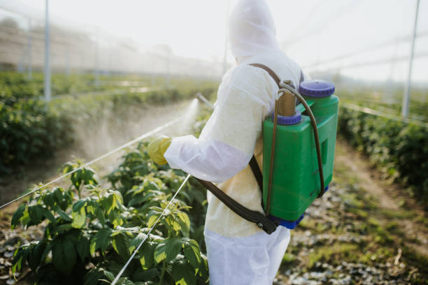 Best Pest Control Near Me  in Grantville, GA